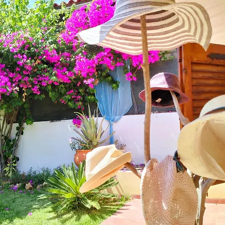 Amaryllis Sweet Tatil Evi *