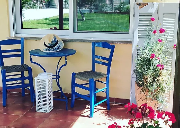 Amaryllis Sweet Pírgos